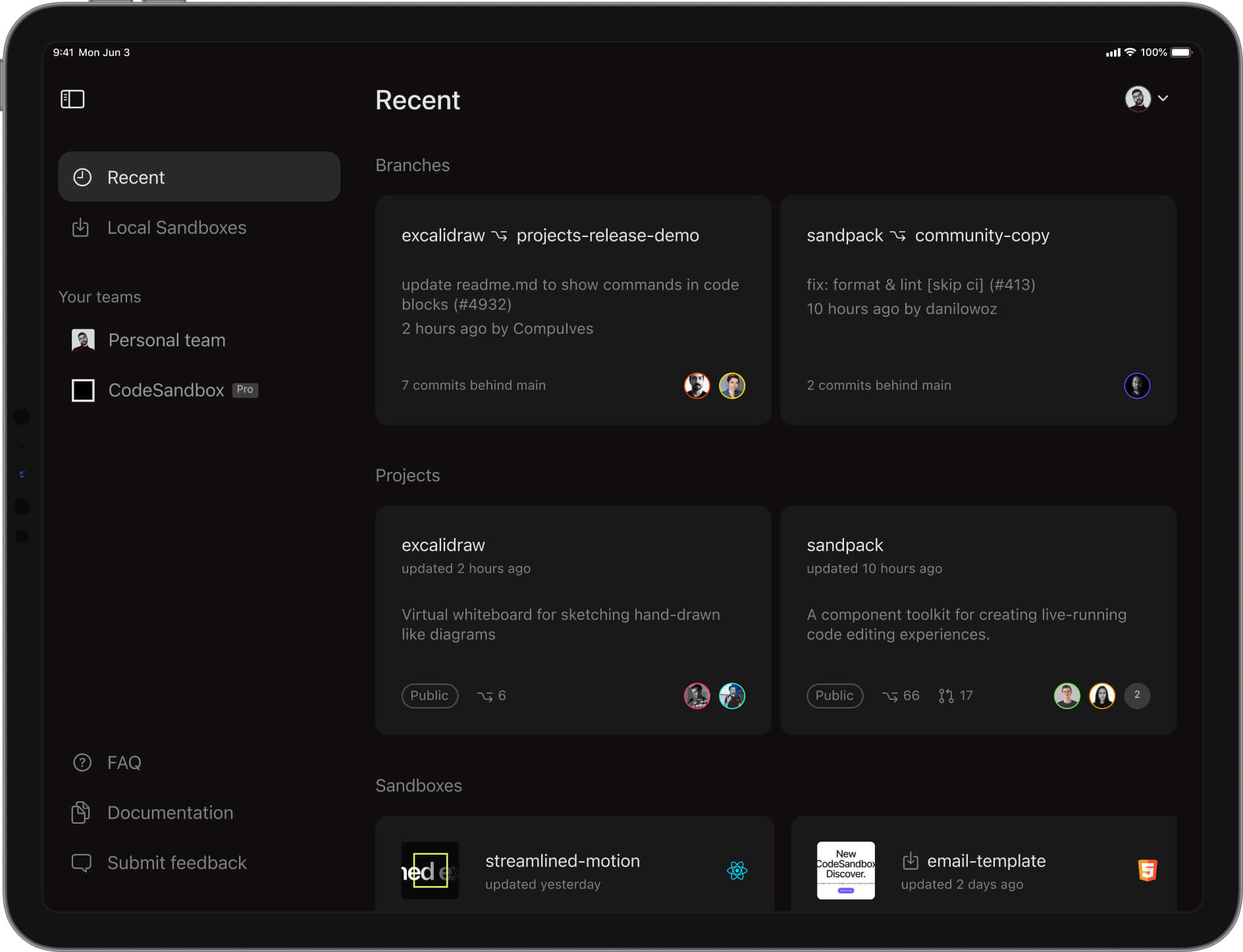 CodeSandbox for iOS - iPad